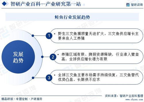 中國鮭魚行業發展現狀、產業全景概覽及投資方向分析